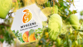 Top 5 cannabis strains high in Myrcene