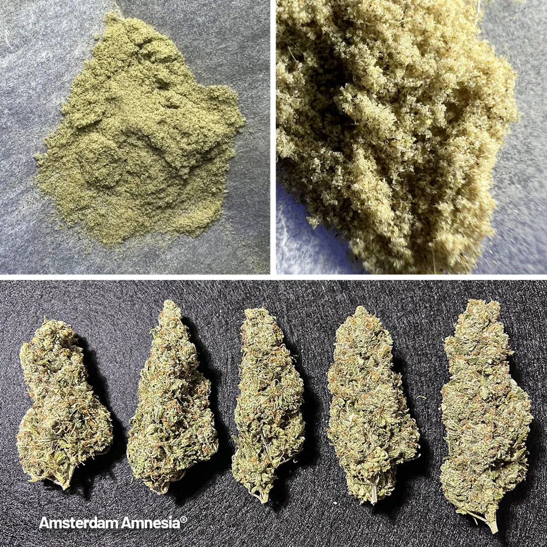 Her smell is very similar to her taste with strong lime notes mixed with gasoline and black pepper.