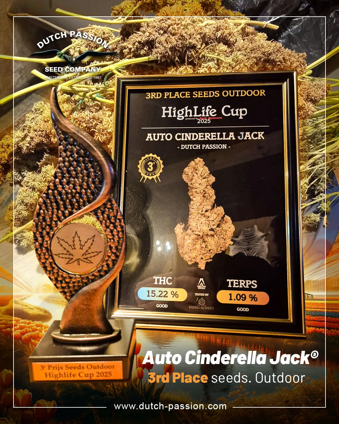 Auto-Cinderella-Jack-3rd-place-highlife-cup-2025-outdoor