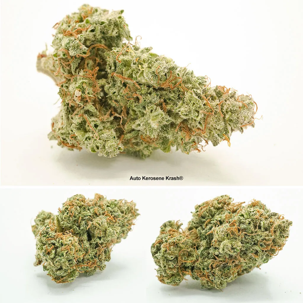 Auto Kerosene Krash dried buds
