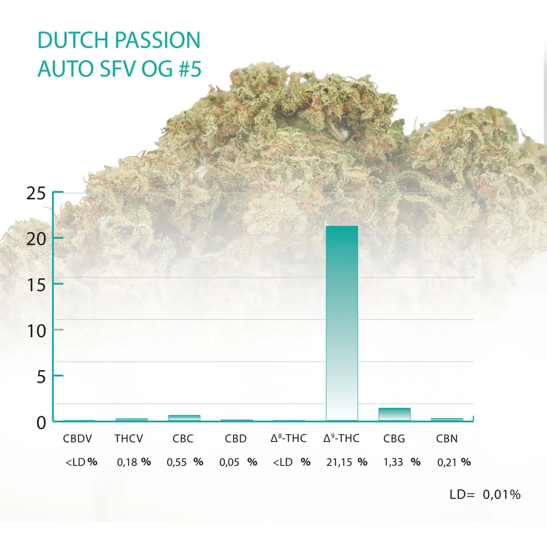 Auto-SFV-OG-Cannabinoids