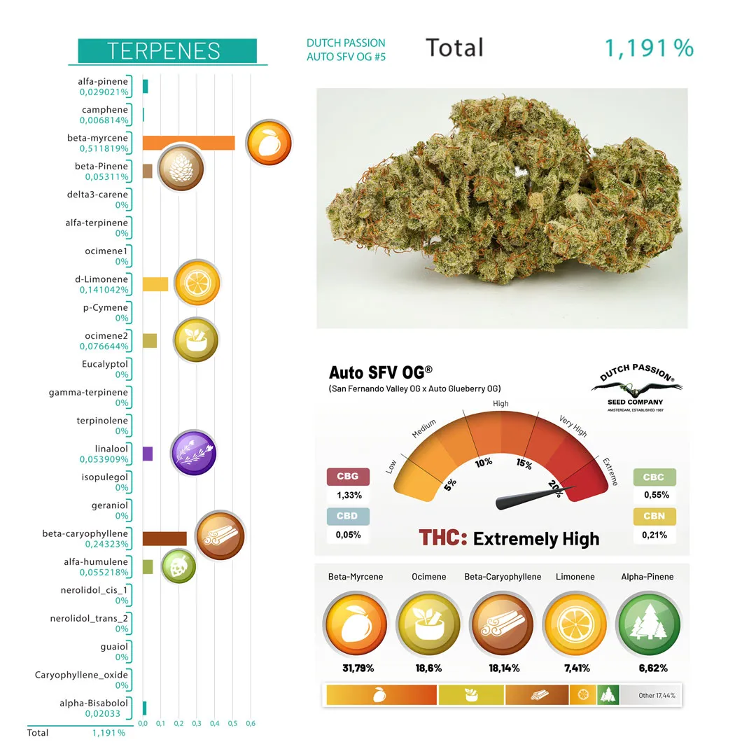 Auto-SFV-OG-terpenes