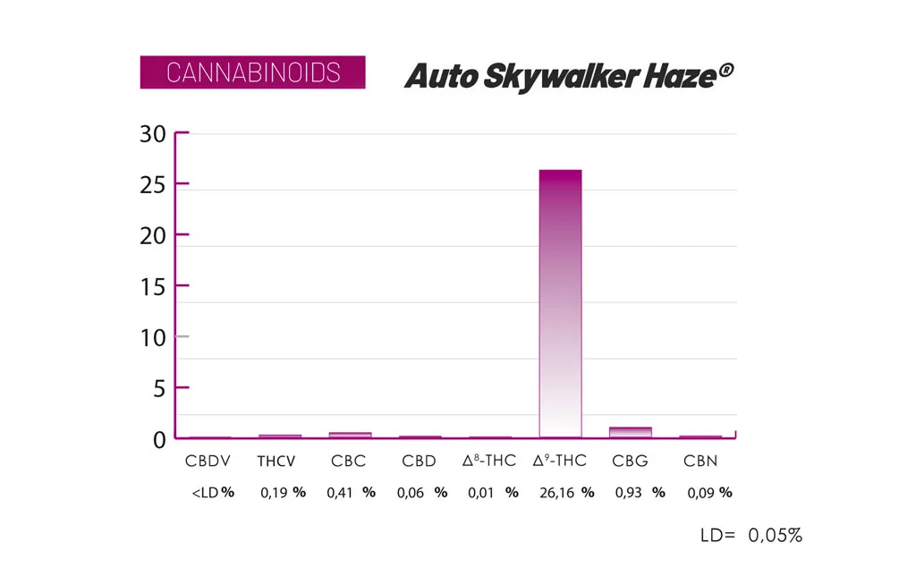 Auto Skywalker Haze cannabinoids and terpenes