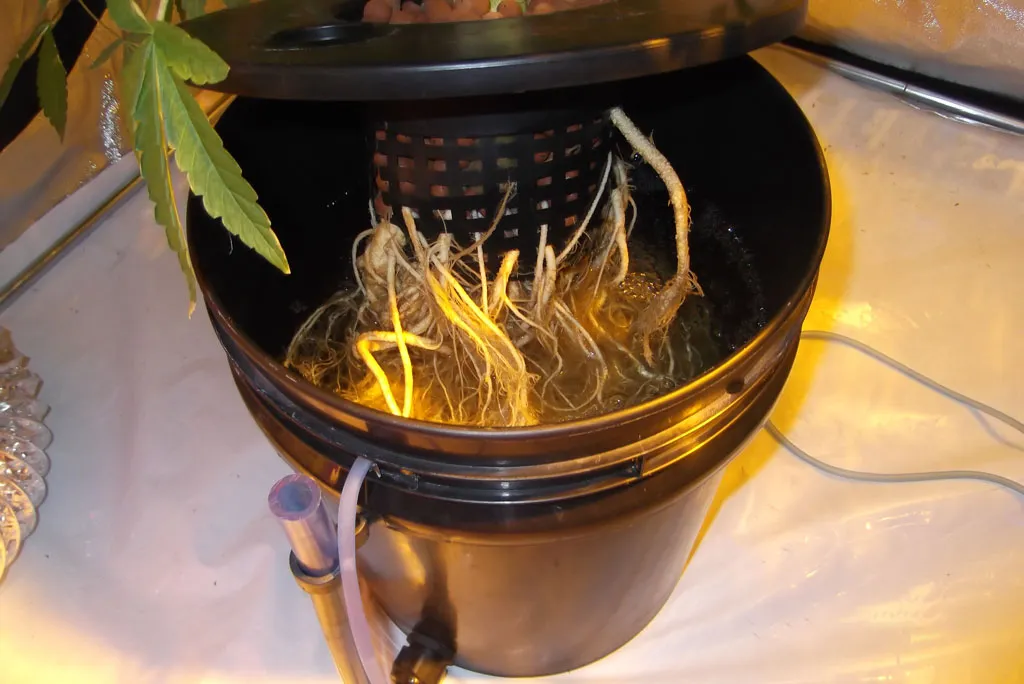 Auto Ultimate hydro grow