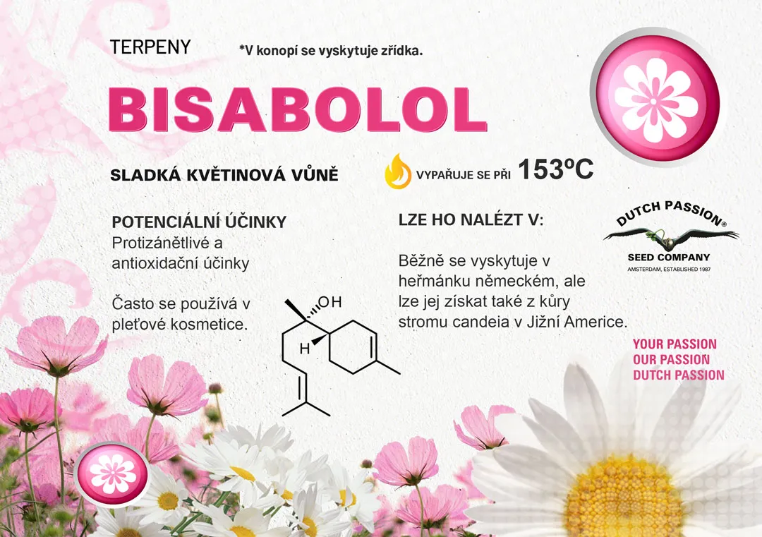 Bisabolol Konopne terpeny Vune chu a ucinky