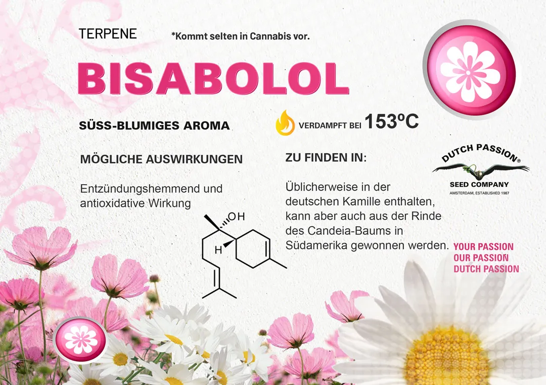  Bisabolol Geruch, Geschmack und Effekte