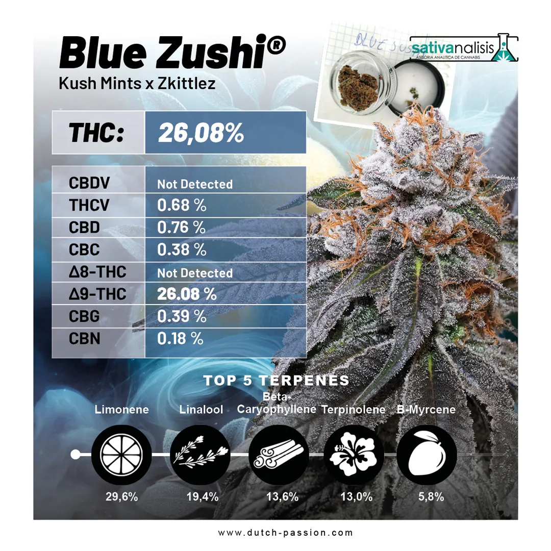 Blue-Zushi-Lab-results-image-Dutch-Passion