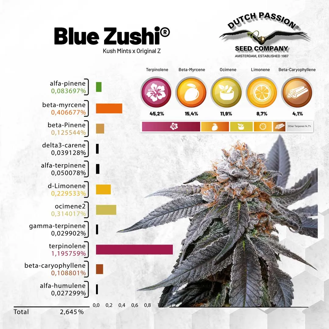 Blue Zushi Terpenes overview