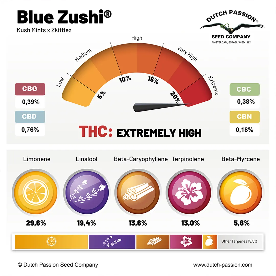 Blue-Zushi-terpenes-results