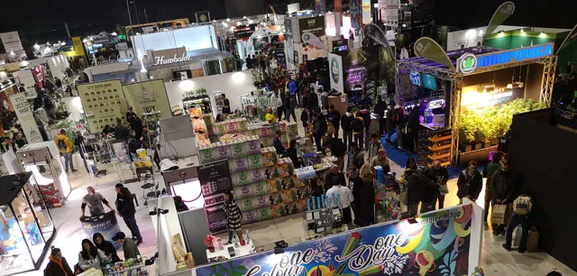 Bolonga expo