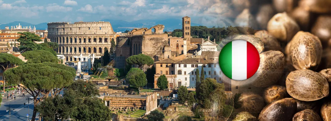 Buying-cannabis-seeds-in-Italy
