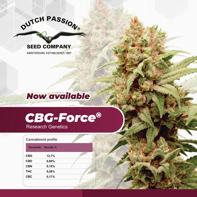 CBF Force Feminised Seeds Cannabinoid Profile