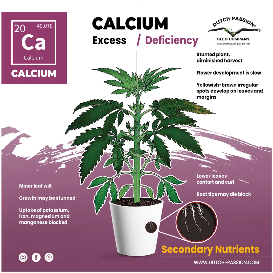 Calcium