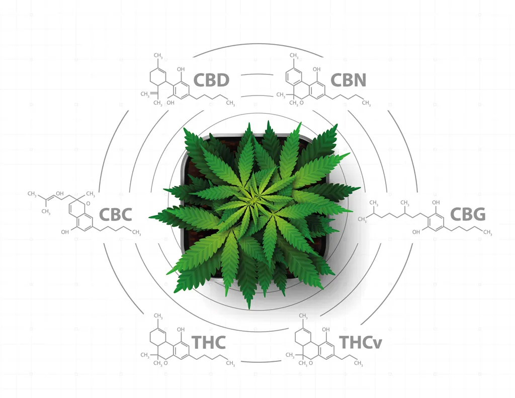 Cannabinoids