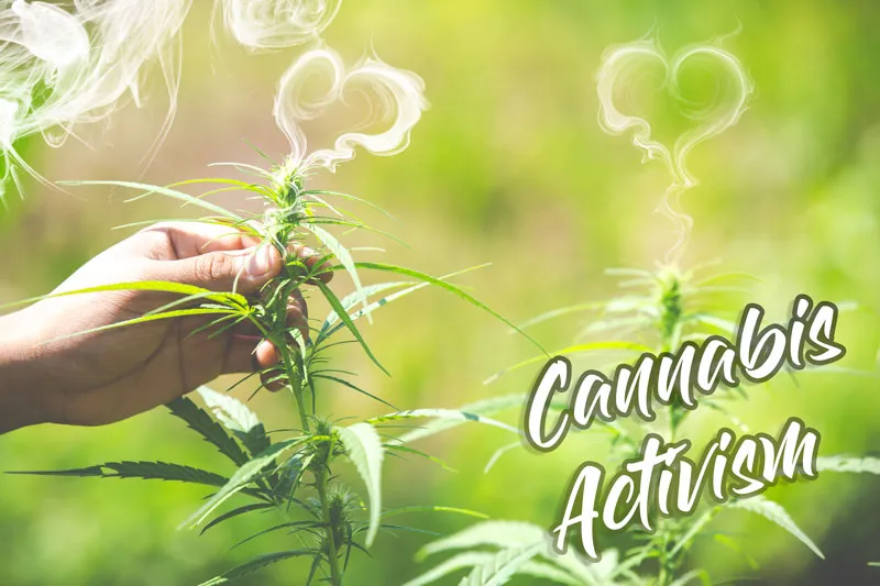 Cannabis activism
