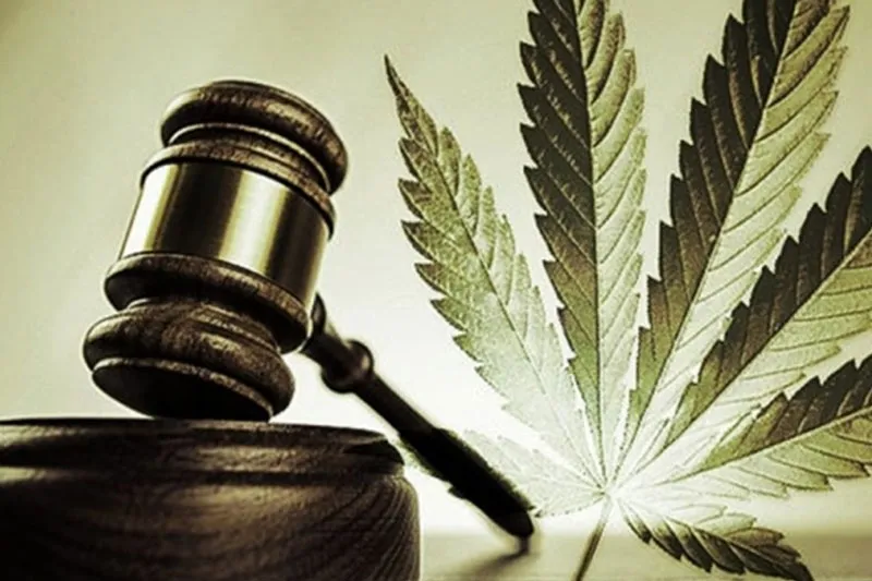 A gavel in a courtroom next to a cannabis leaf
