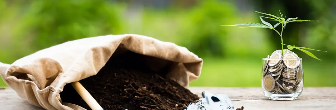 Costs-of-Organic-vs-mineral-nutrient