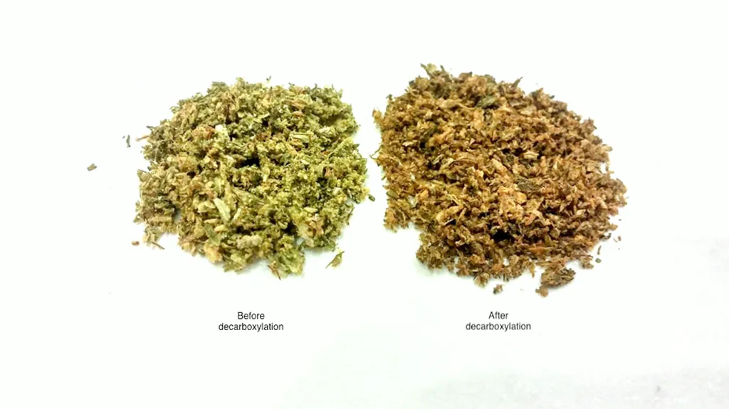 Cannabis buds before and after decarboxylation