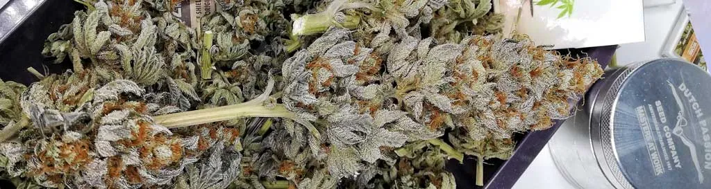 Does-mixing-high-THC-weed-strains-get-you-higher