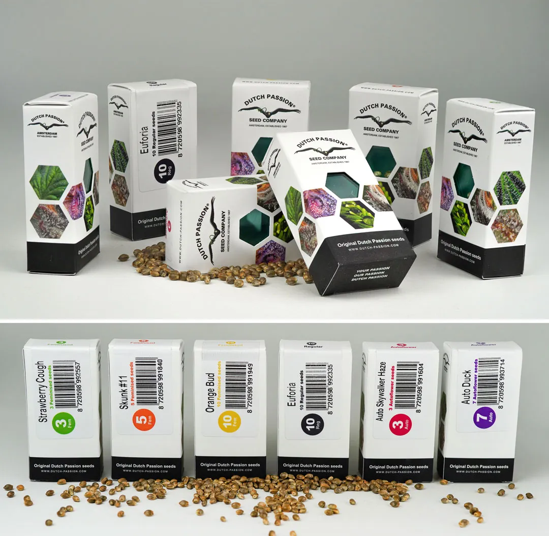 Dutch-Passion-cannabis-seed-company-packaging-2021-colours