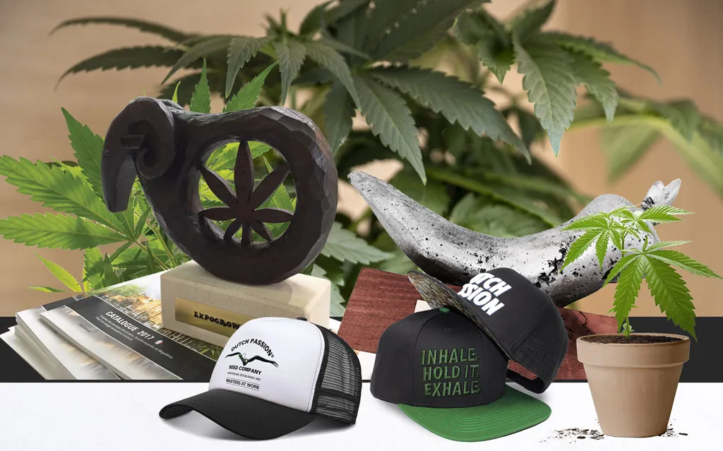 Dutch-passion-best-seedbankcannabis-seeds-worldwide