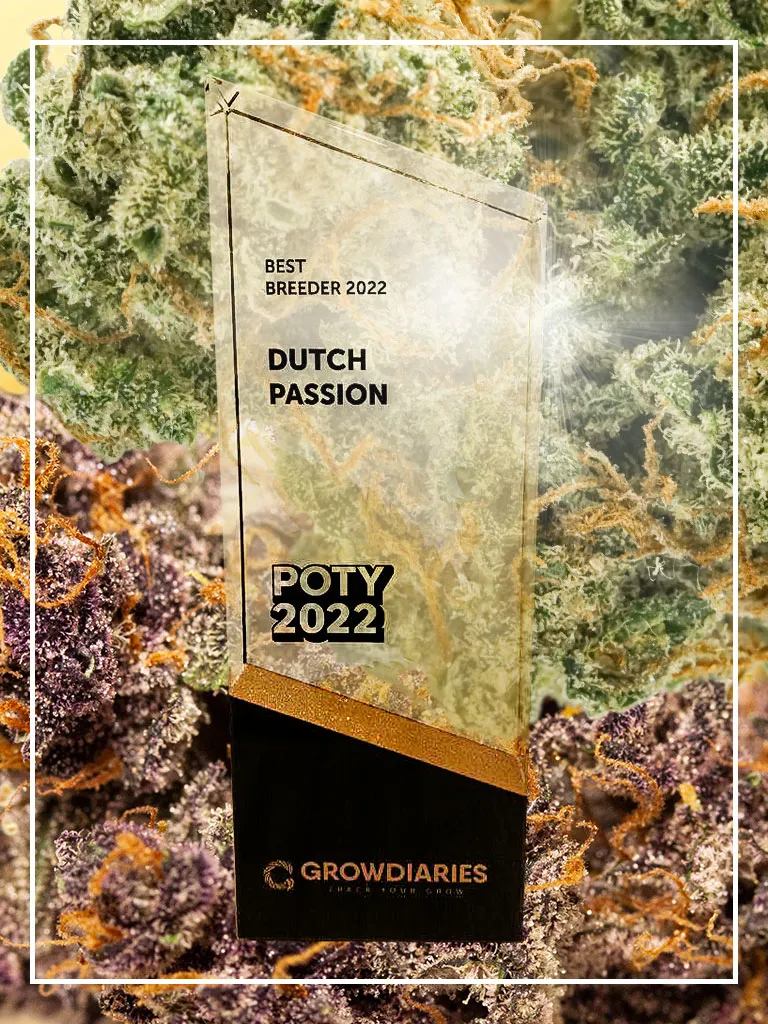 Growdiaries-best-breeder-2022-dutch-passion-seed-company-prize