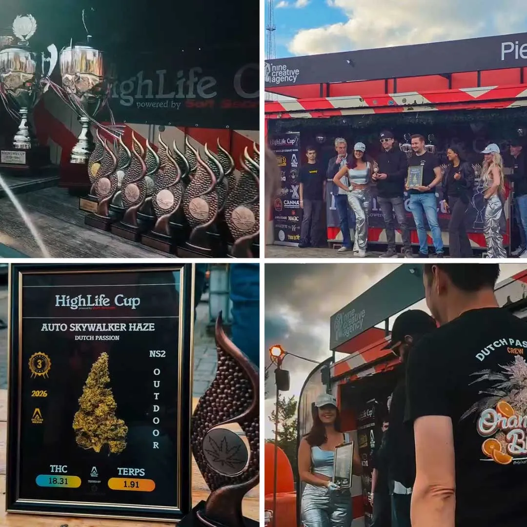 Highlife cup 2026 dutch passion