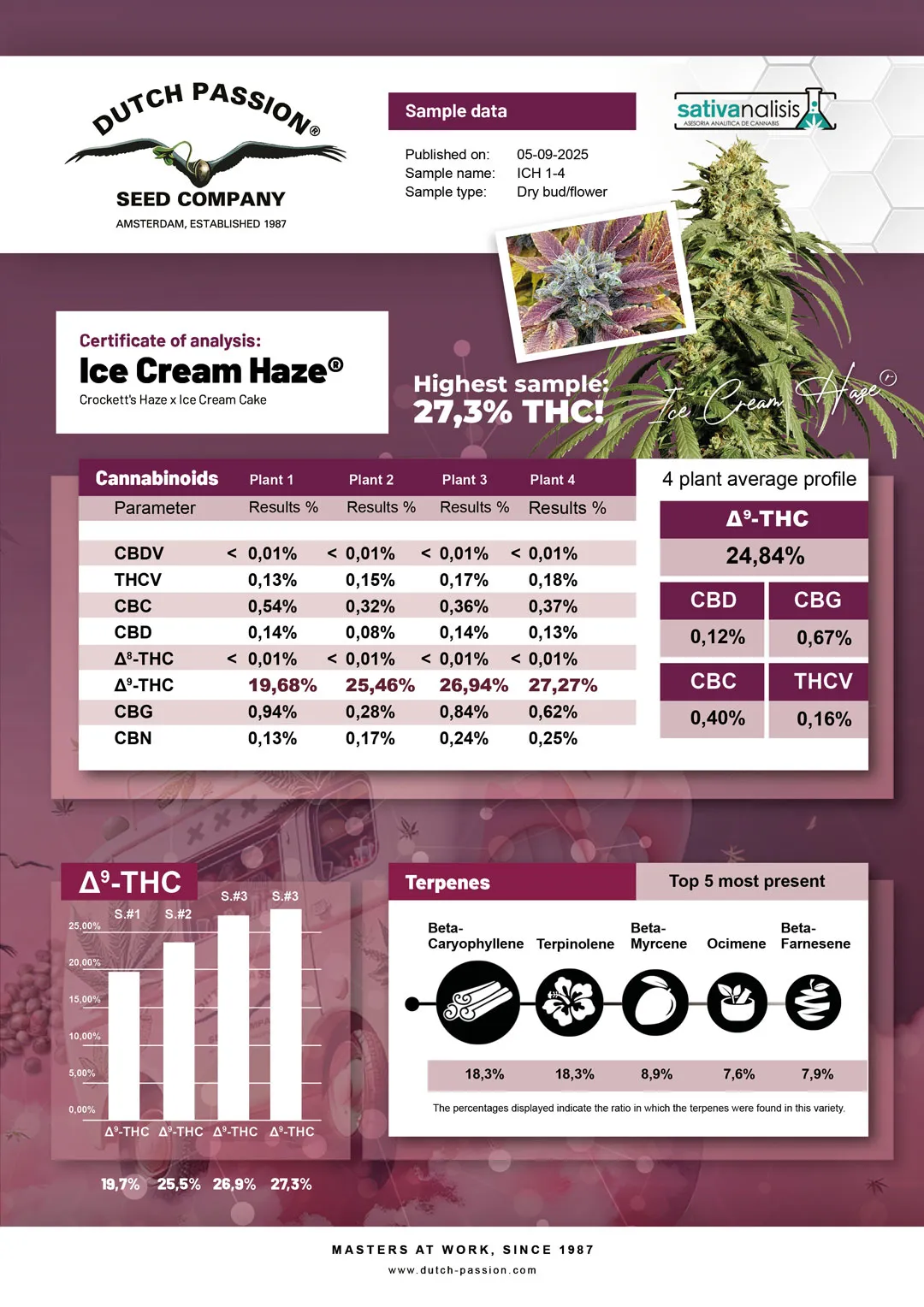 Ice Cream Haze 4 plants lab results Dutch Passion