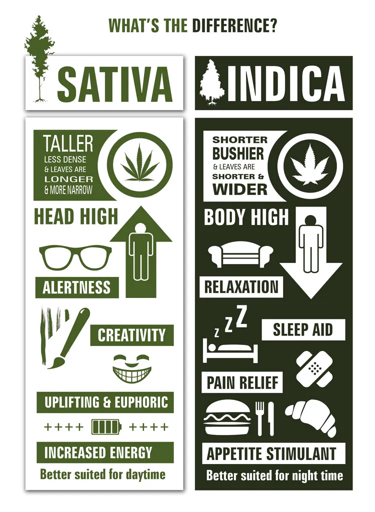 Indica vs Sativa effects