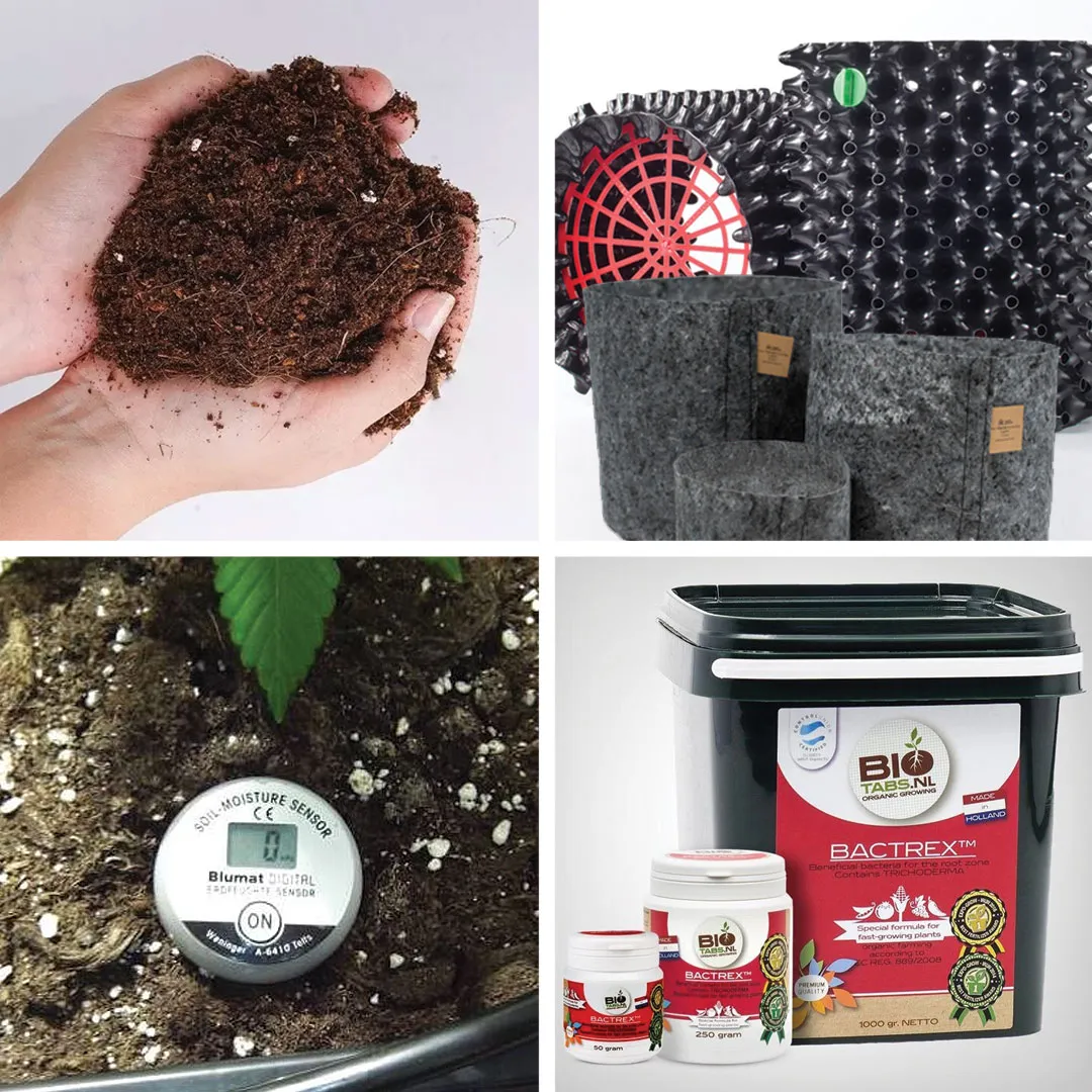 Key expert tips to prevent cannabis root rot in soil
