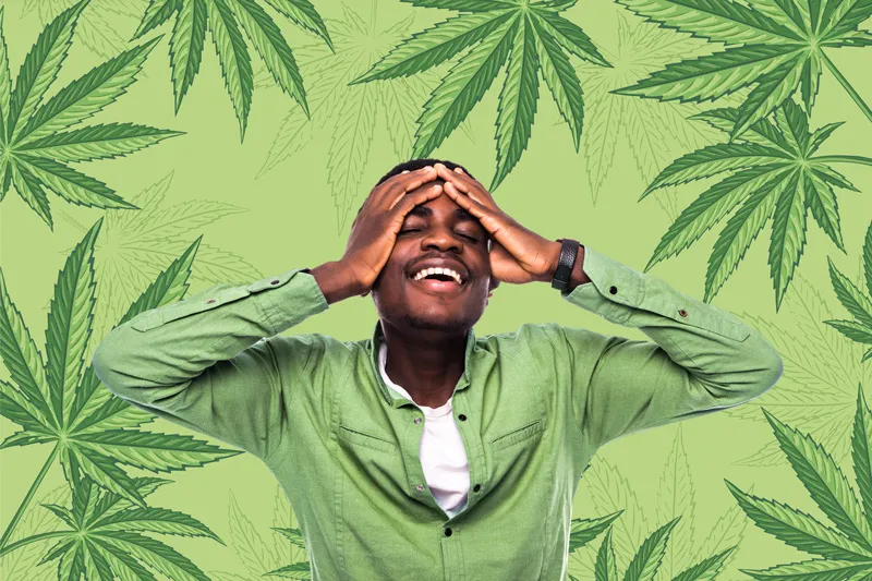 Key factors for a weed hangover