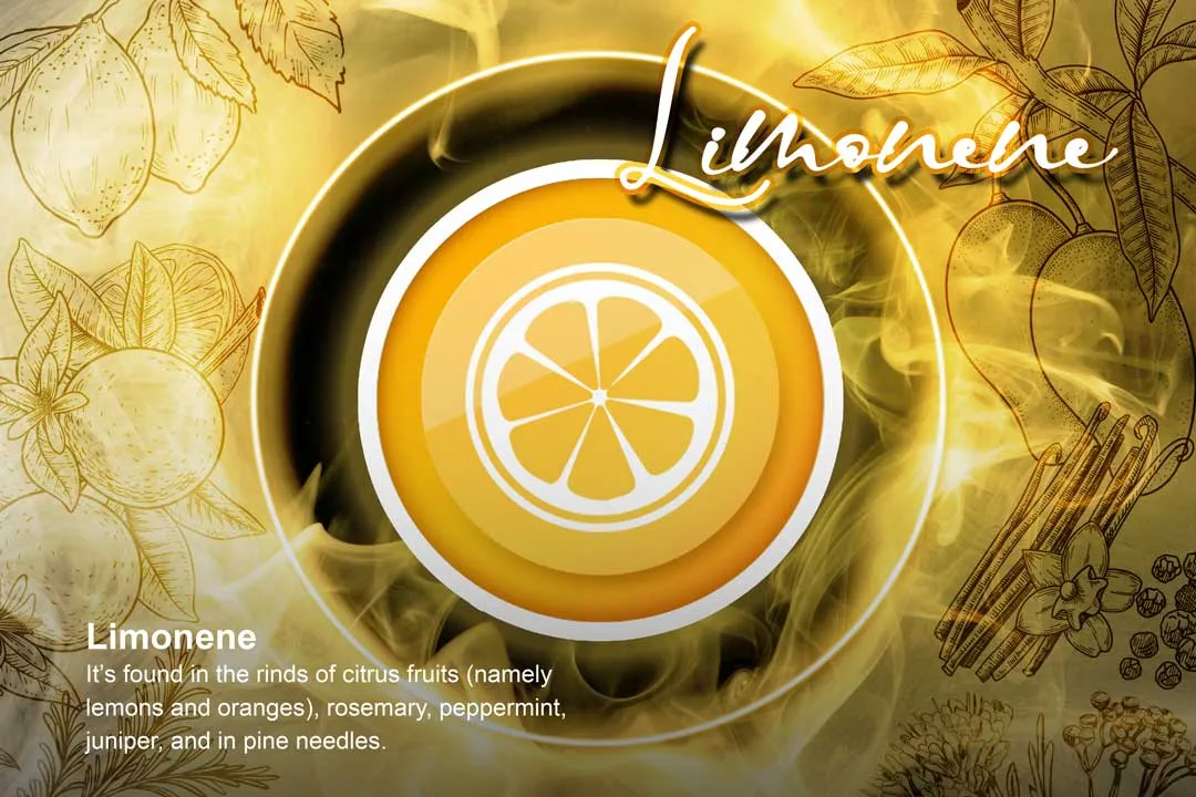 Limonene-citrus-terpene-fruits-cannabis-dutch-passion