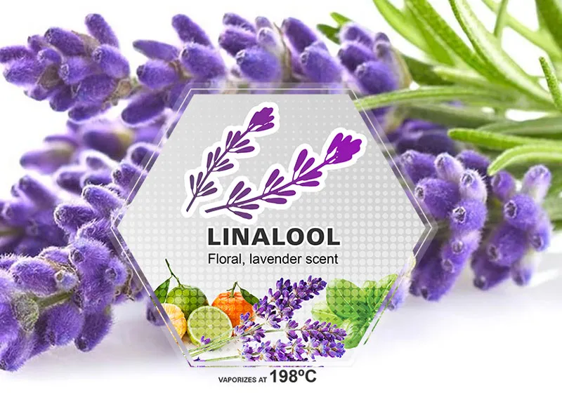 Linalool terpene