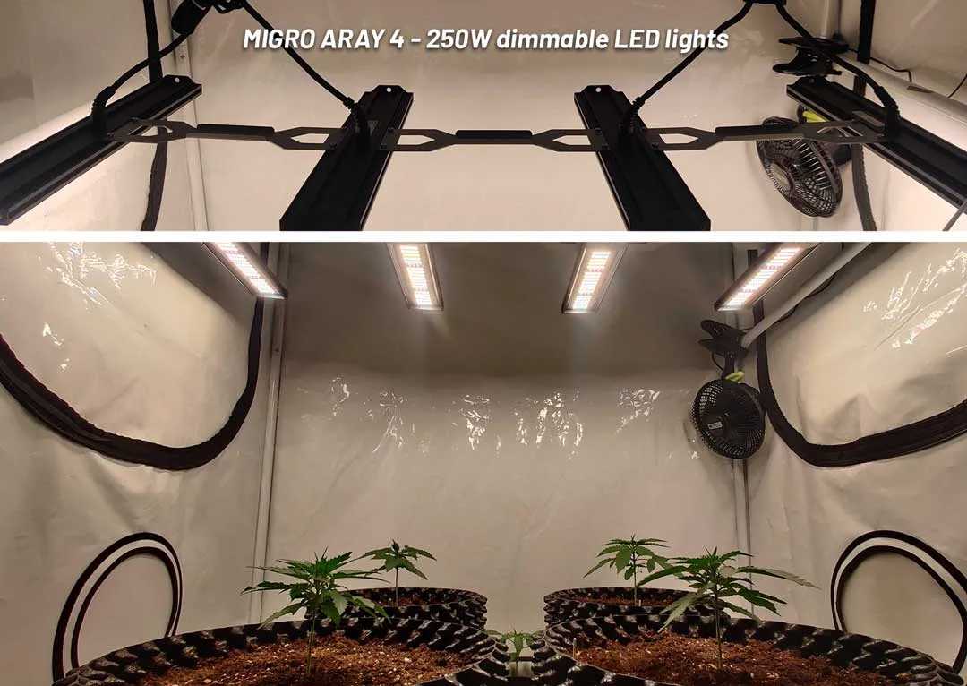 MIGRO-ARAY-4-dimmable-LED-grow-lights