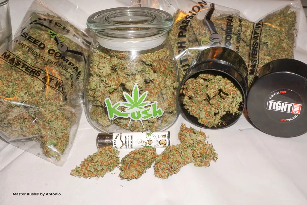 Master-Kush-by-Antonio-dried-flowers-cured-weed-jars-nugs-nugshot-resin-trichomes-indica-strain-potent