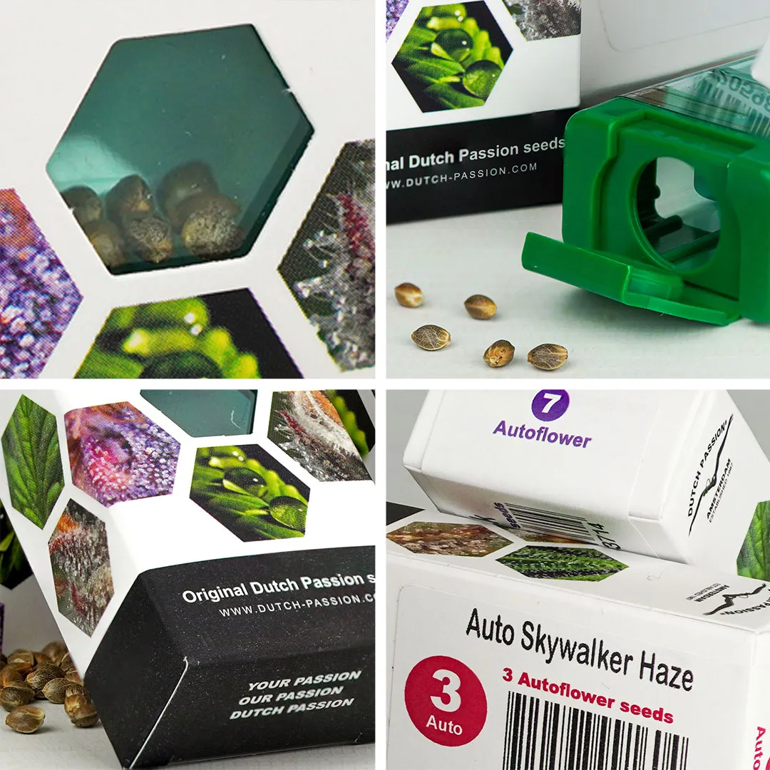 New-packaging-dutch-passion-2021-cannabis-seeds