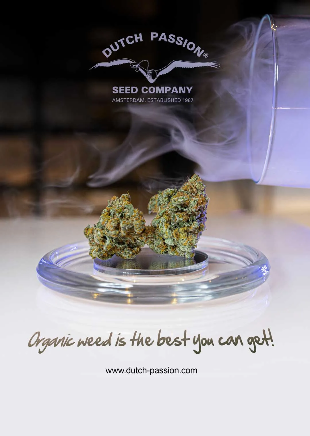 Organic-weed-is-the-best-you-can-get