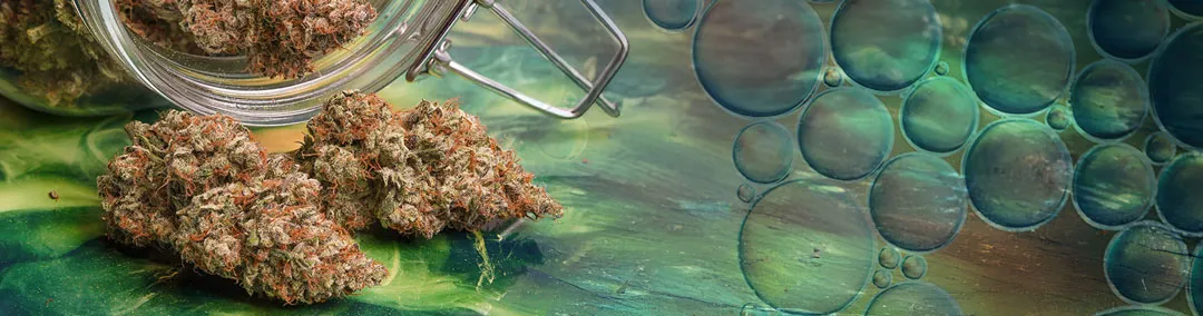 Oxygen-Exposure-can-cause-terpene-degradation