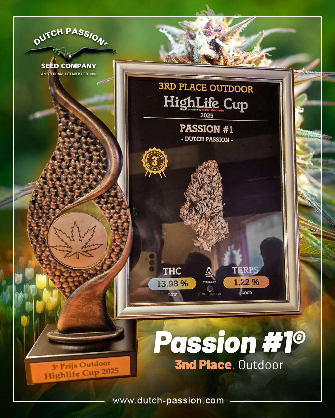 Passion-1-the-outdoor-strain-wins-a-cup-for-outdoor-growing