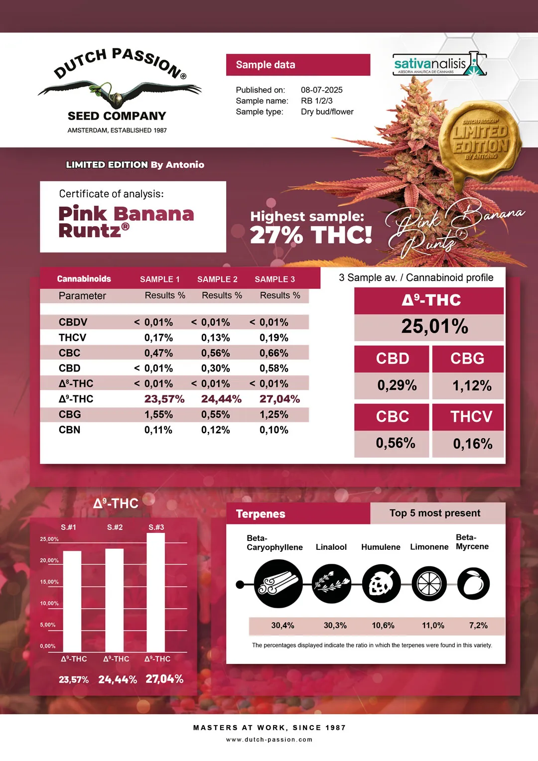 Pink-Banana-Runtz-Limited-Lab-results-Dutch-Passion-style