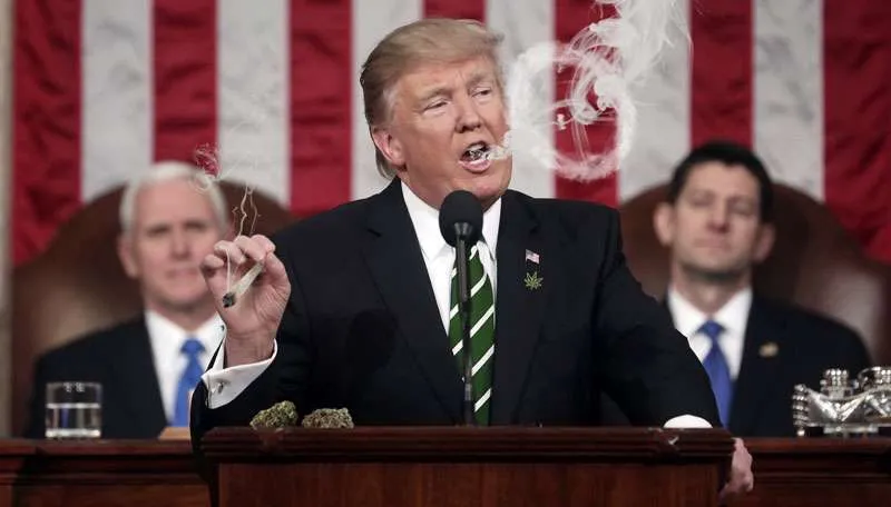 Et si Trump se battait pour les droits du cannabis ? 