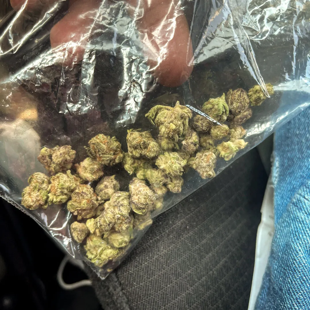 Popcorn-Buds-in-a-bag-size-small