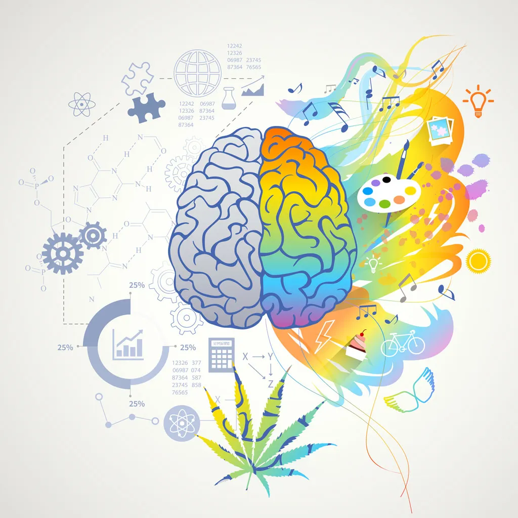 Sativa effect on the brain