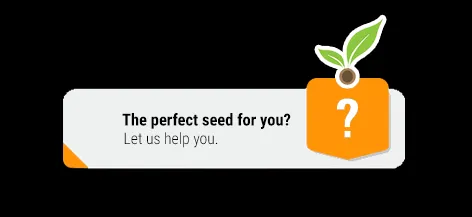Help me find the perfect seed!