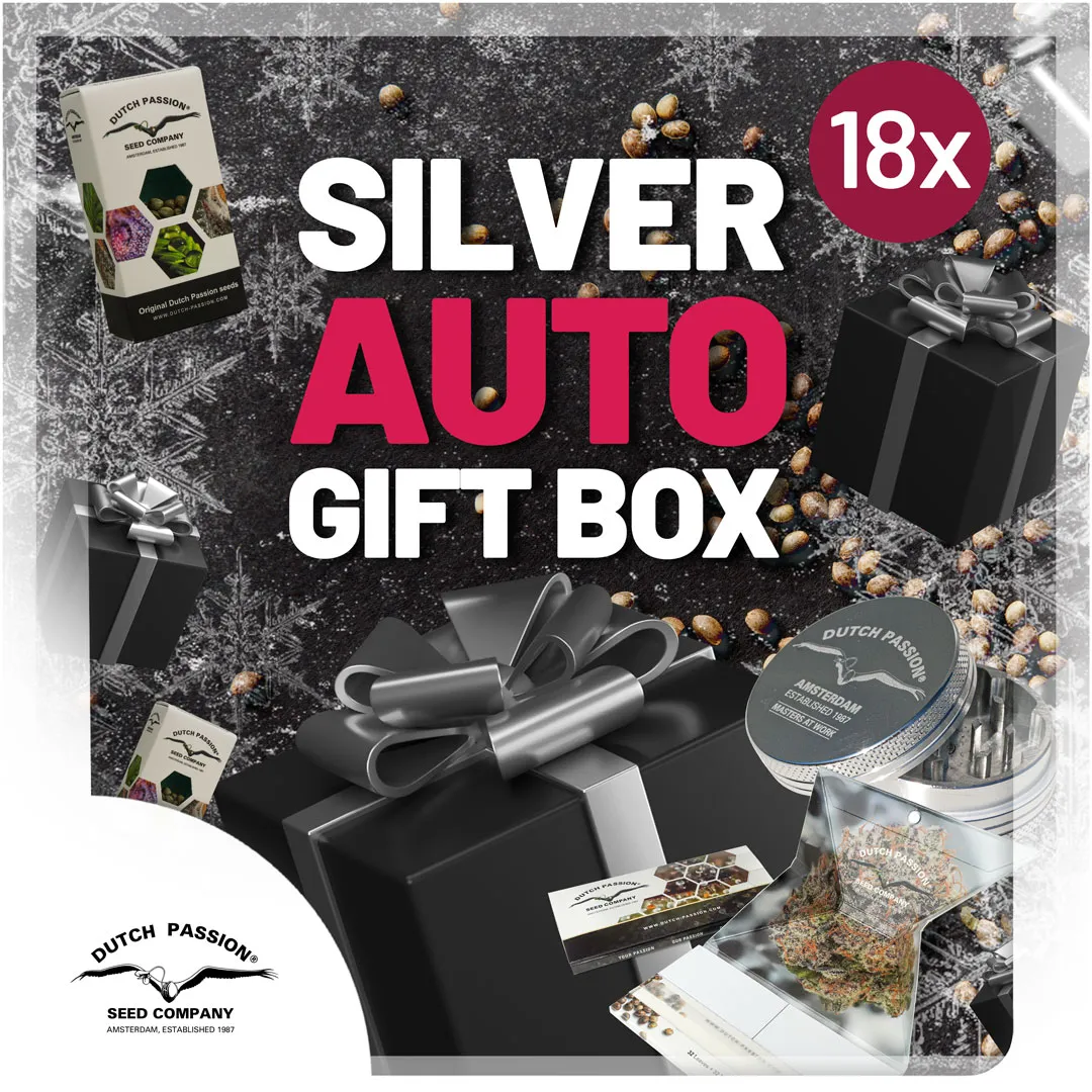 Silver-autoflower-box-discount-christmas-cannabis-seeds