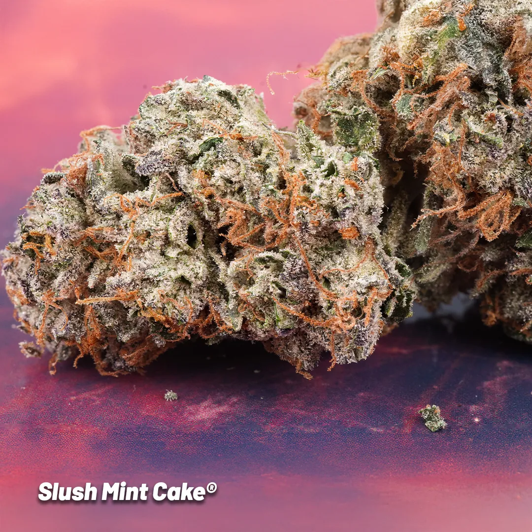 Slush-Mint-Cake-Bud-2-by-Antonio
