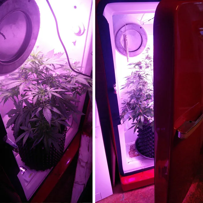 Small grow spaces