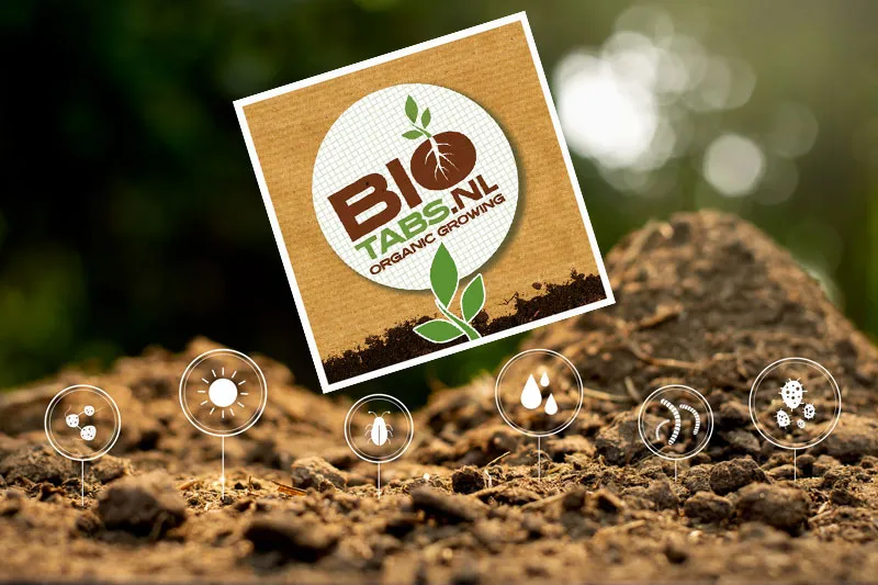 BioTabs organic