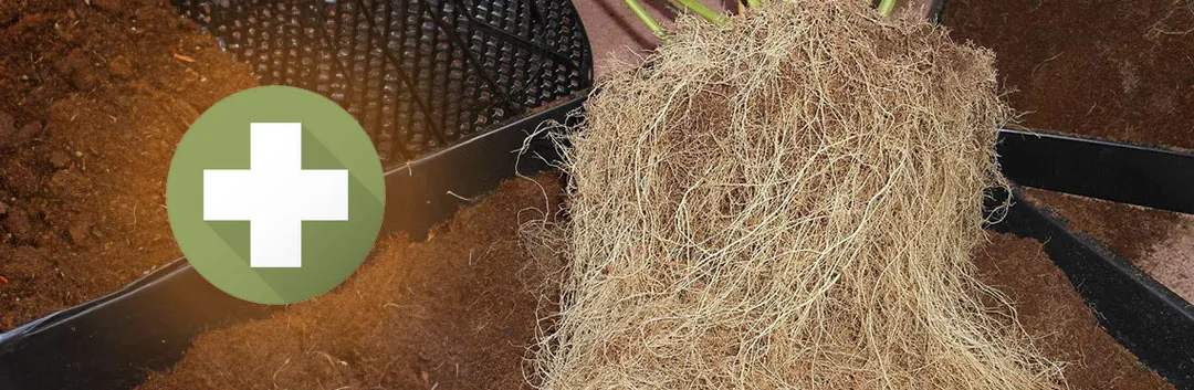 Soil-health-and-reusing-soil-for-cannabis