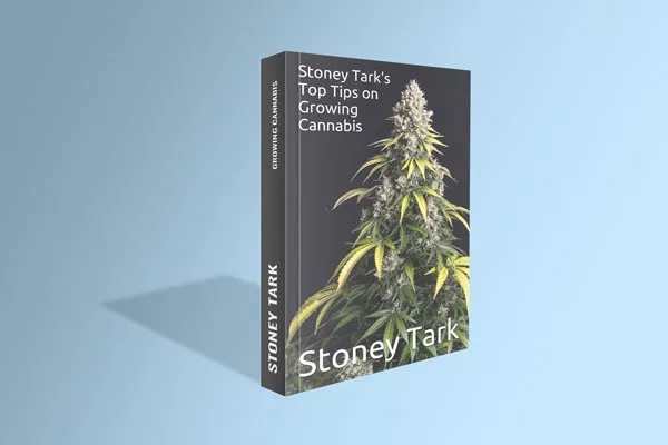 Stoney Tark